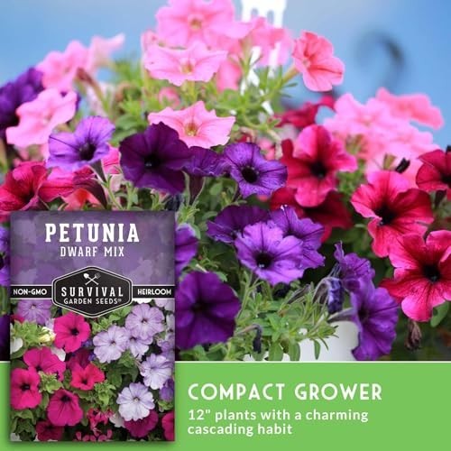 Dwarf Petunia Seed Mix – Non-GMO Heirloom Flower Seeds for Vibrant Garden & Poll
