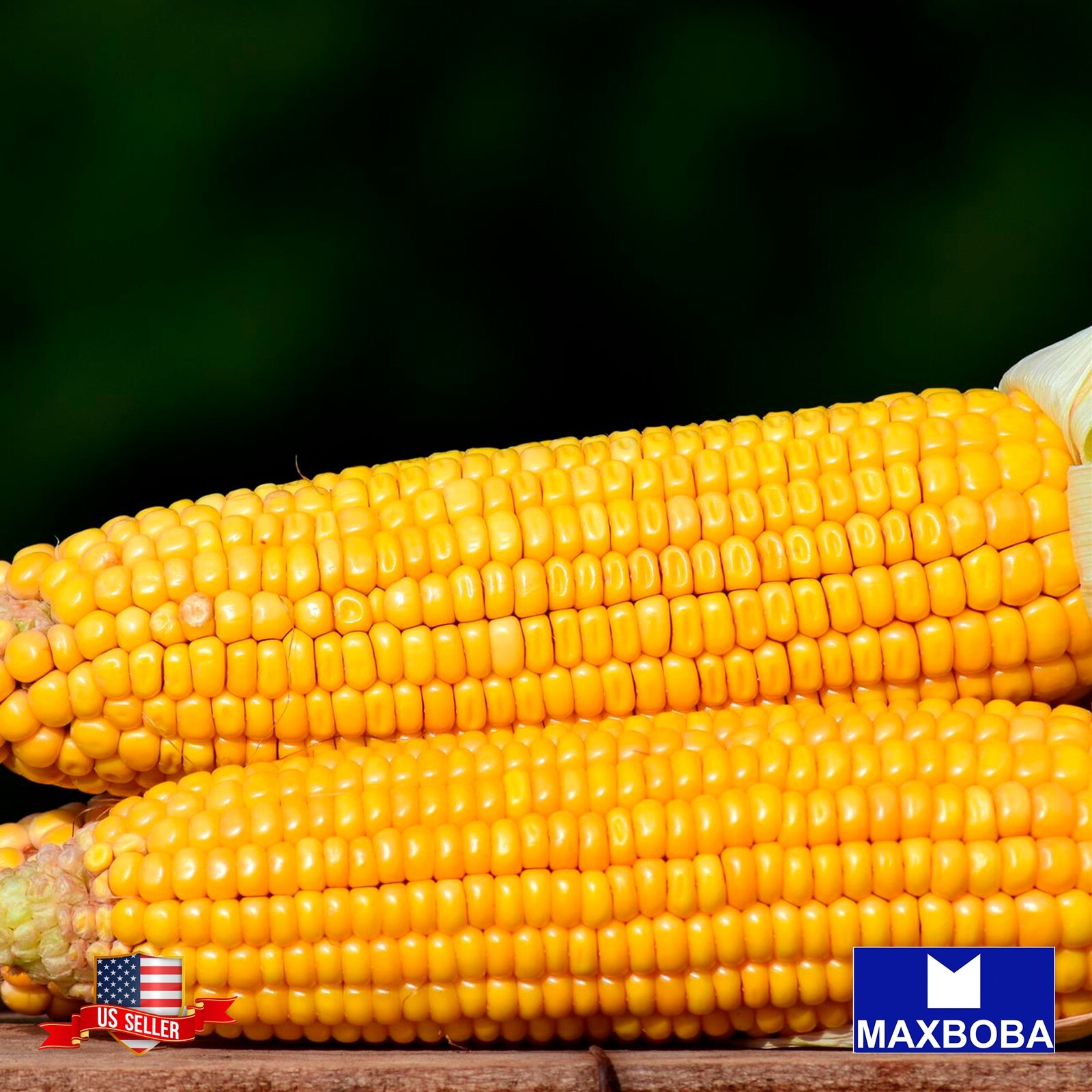 Fresh!! Corn Seeds (op) Sweet – Golden Bantam – Non-GMO Heirloom and Vegetable