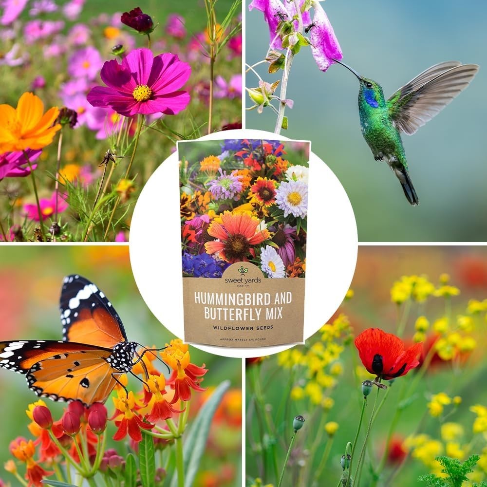Transform Your Garden with 1/4 lb of Butterfly & Hummingbird Wildflower Seeds