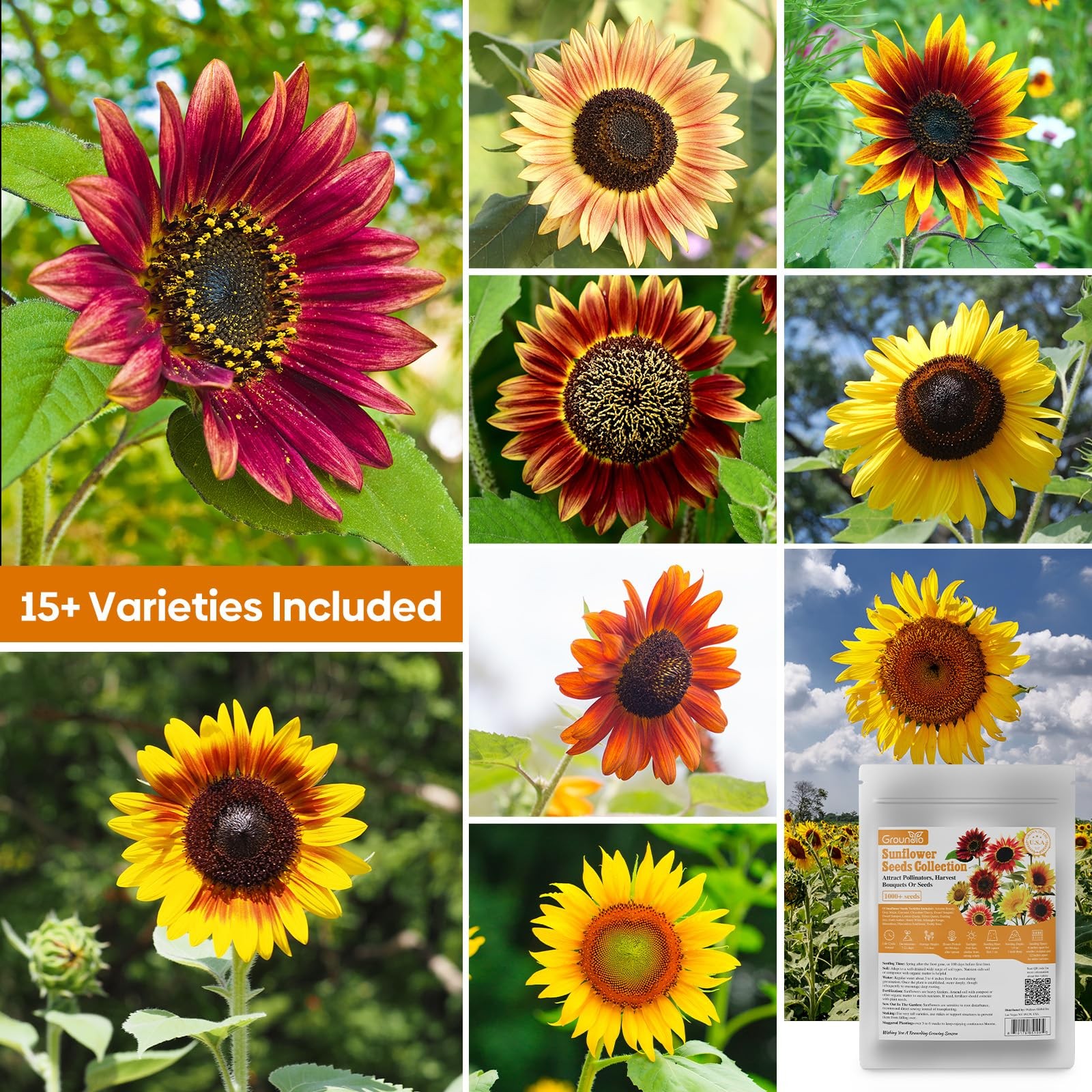 Sunflower Seeds for Planting, 15+ Varieties, 1 Oz, 300+ Mixed Seeds to Plant …