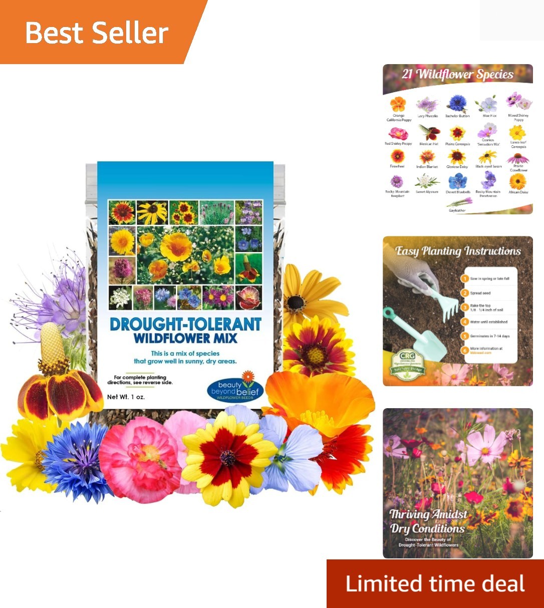 Drought Resistant Wildflower Seeds – 1oz, Open-Pollinated Bulk Flower Seed Mi…