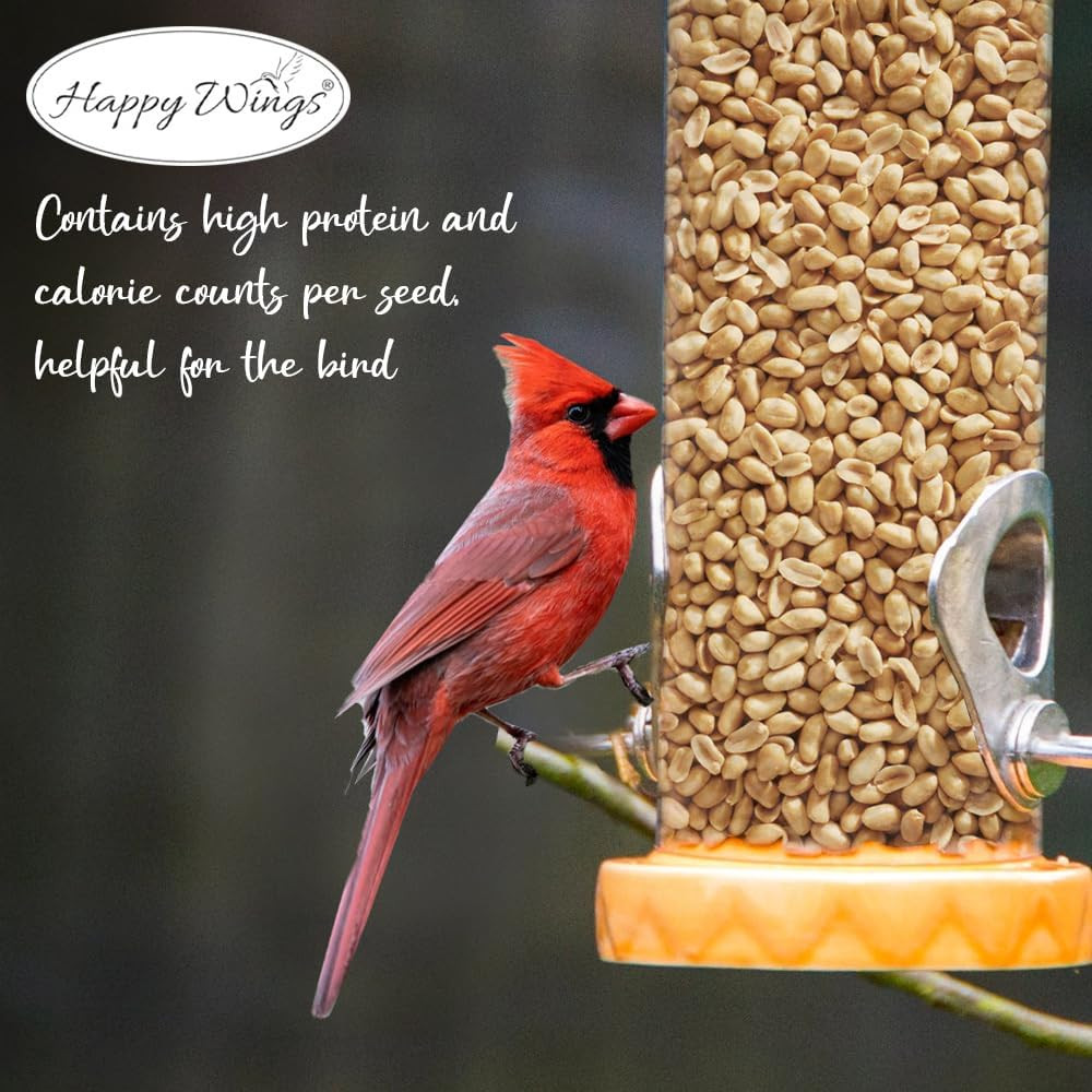 Shelled Peanuts Seeds Wild Bird Food – 5 Pounds I No Grow Seed I Bird Seed for W