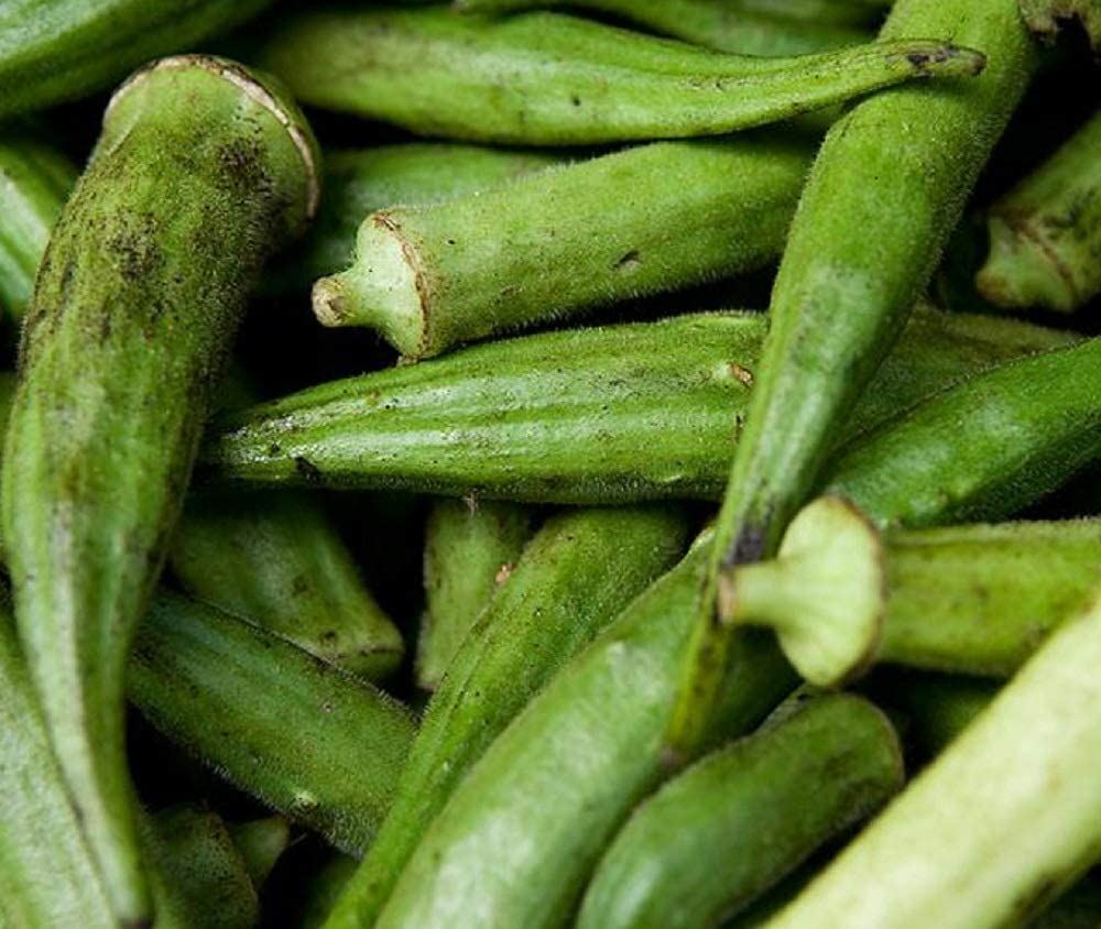 Okra Seeds, Emerald Okra Seeds, “COOL BEANS N SPROUTS” Brand. Home Gardening.