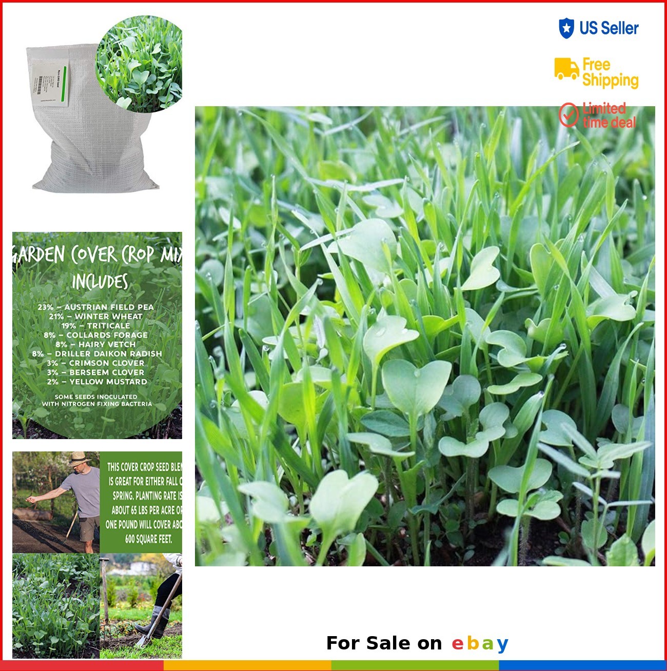 Cover Crop Seed Mix 5 Lbs No-Till Garden Nitrogen Fixing Soil Builder Vetch