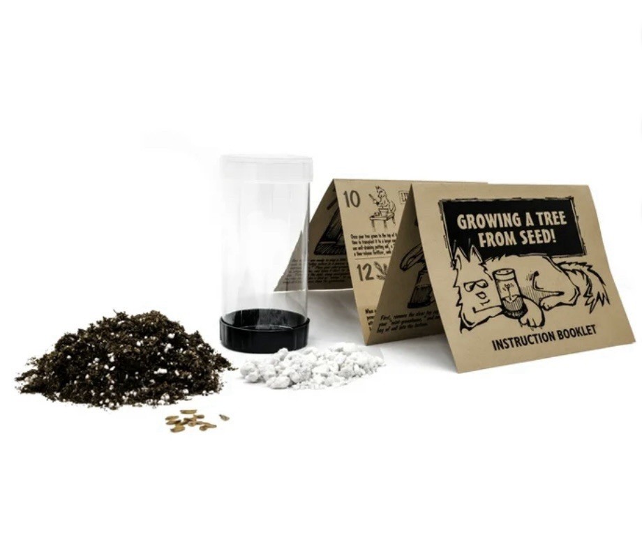 Grow A Tree! Jonsteen Giant Sequoia Tree Seed Germination Kit