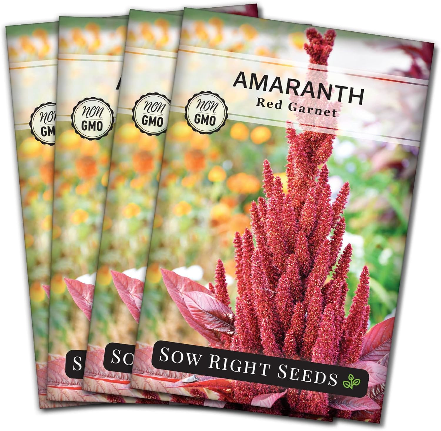 – Red Garnet Amaranth Seeds for Planting – Non-Gmo Heirloom Packet with Instruct