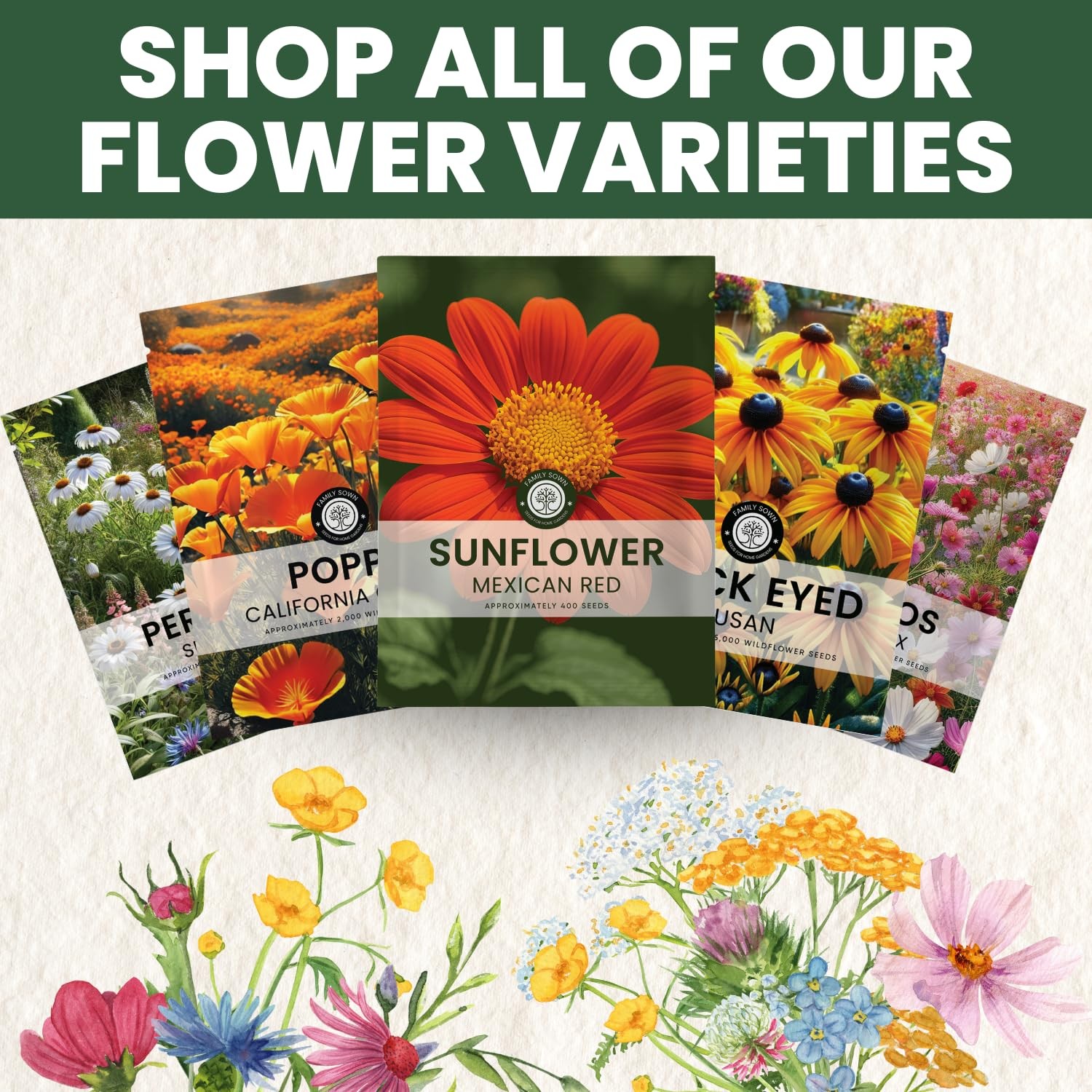 Mexican Sunflower Seeds Red 2000 Planting 1 Ounce 2026 Garden Blooms