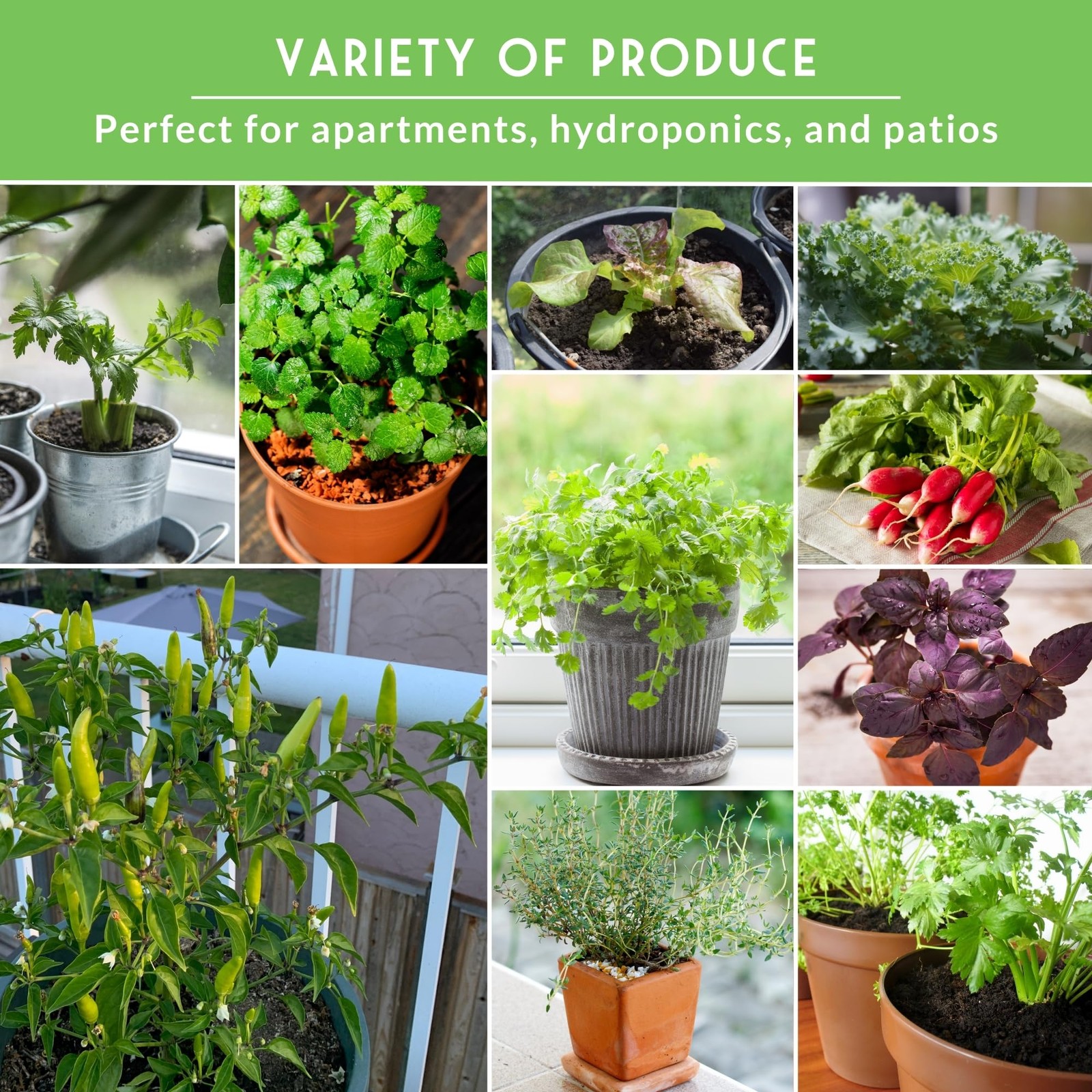 Hydroponic Garden Kit Indoor Herb Vegetable Heirloom Varieties Apartment Growing