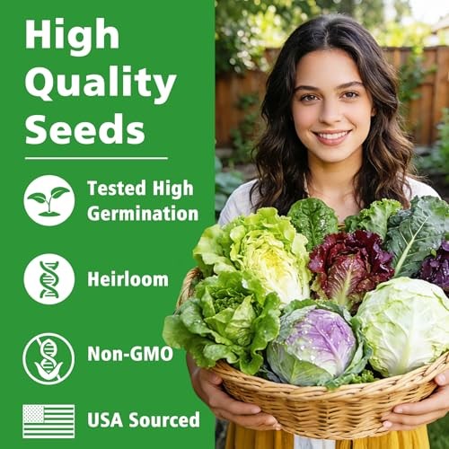 Lettuce Seeds, 10 Varieties Individual Packs, 40000+ Non-GMO Heirloom
