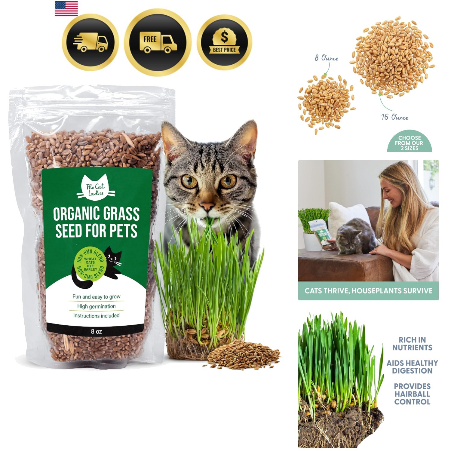 Organic Cat Grass Seeds for Indoor Cats Non GMO 8 oz Plant-based