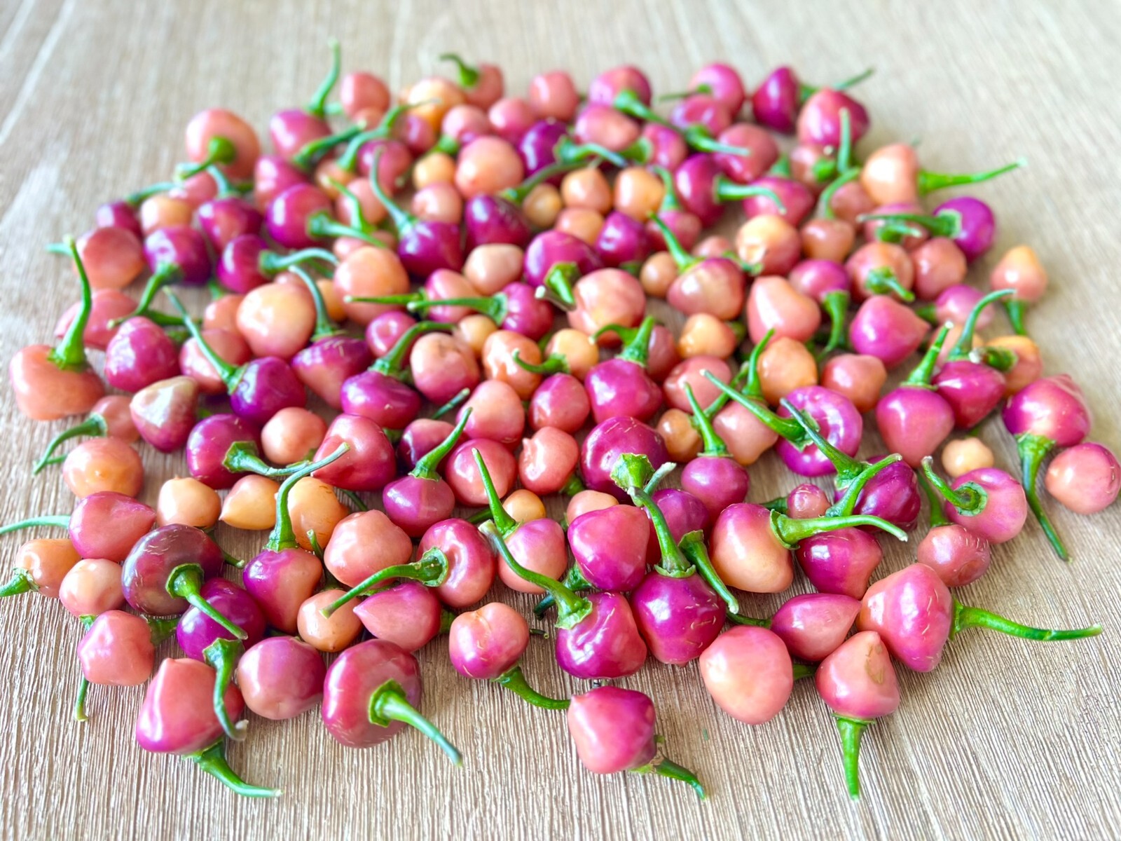 Cheir Roxa Hot Pepper Seeds, Non-GMO Organic Peppers, Hot Spice Level