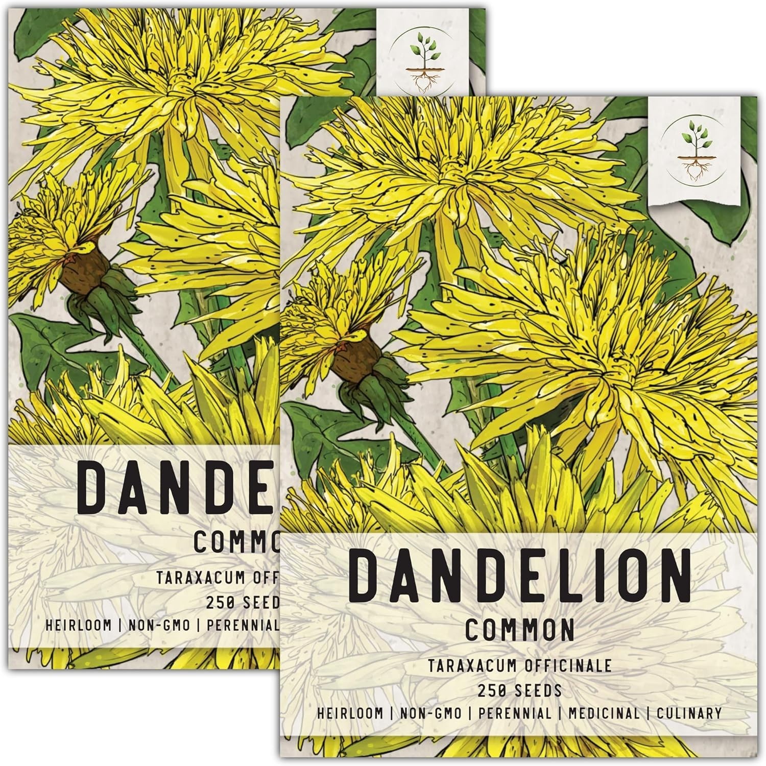 Heirloom Dandelion Seeds – Non-GMO for Herbal & Salad Use – 2 Packs, 1,000 Seeds