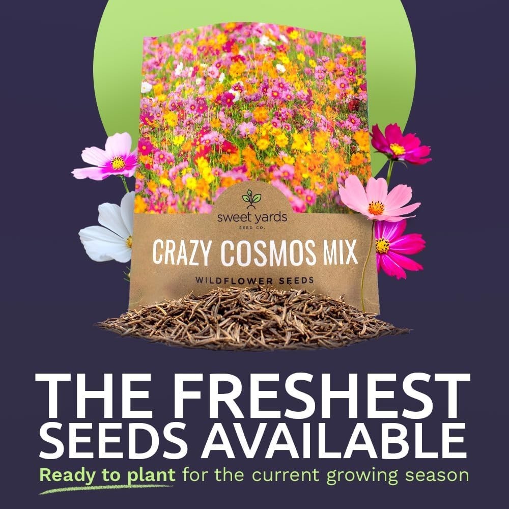 Cosmos Wildflower Seeds Mix – Bulk 1oz Packet