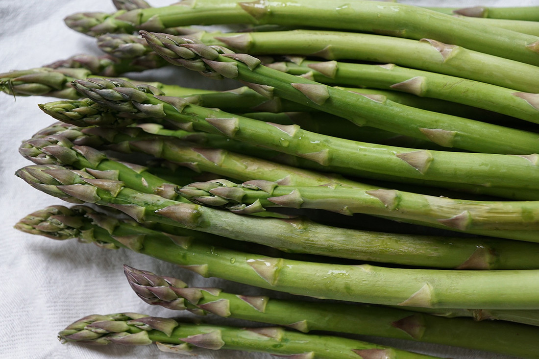 100 Organic MARY WASHINGTON Asparagus Seeds Heirloom