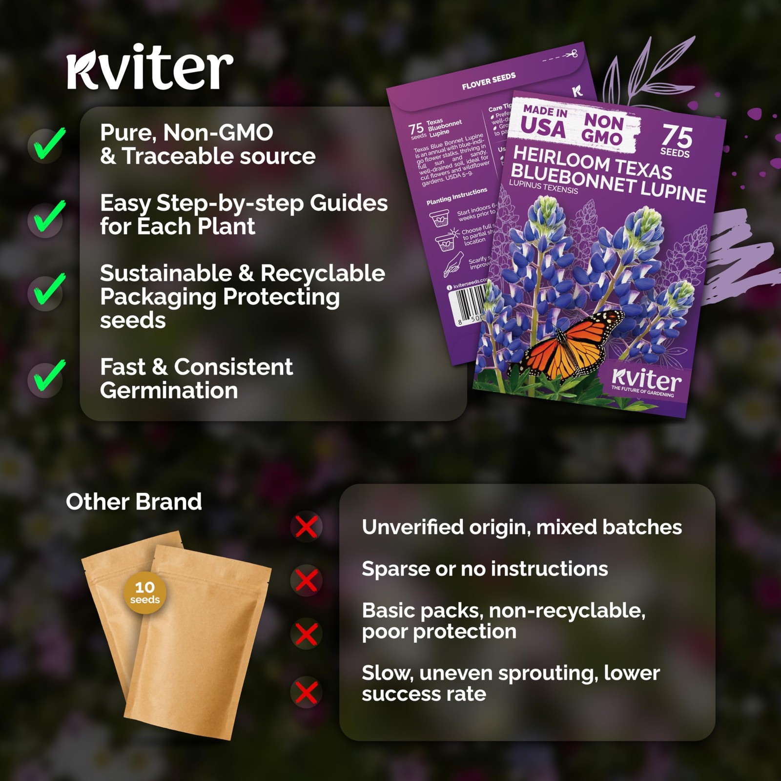 KVITER 75 Texas Bluebonnet Seeds (Lupinus Texensis)