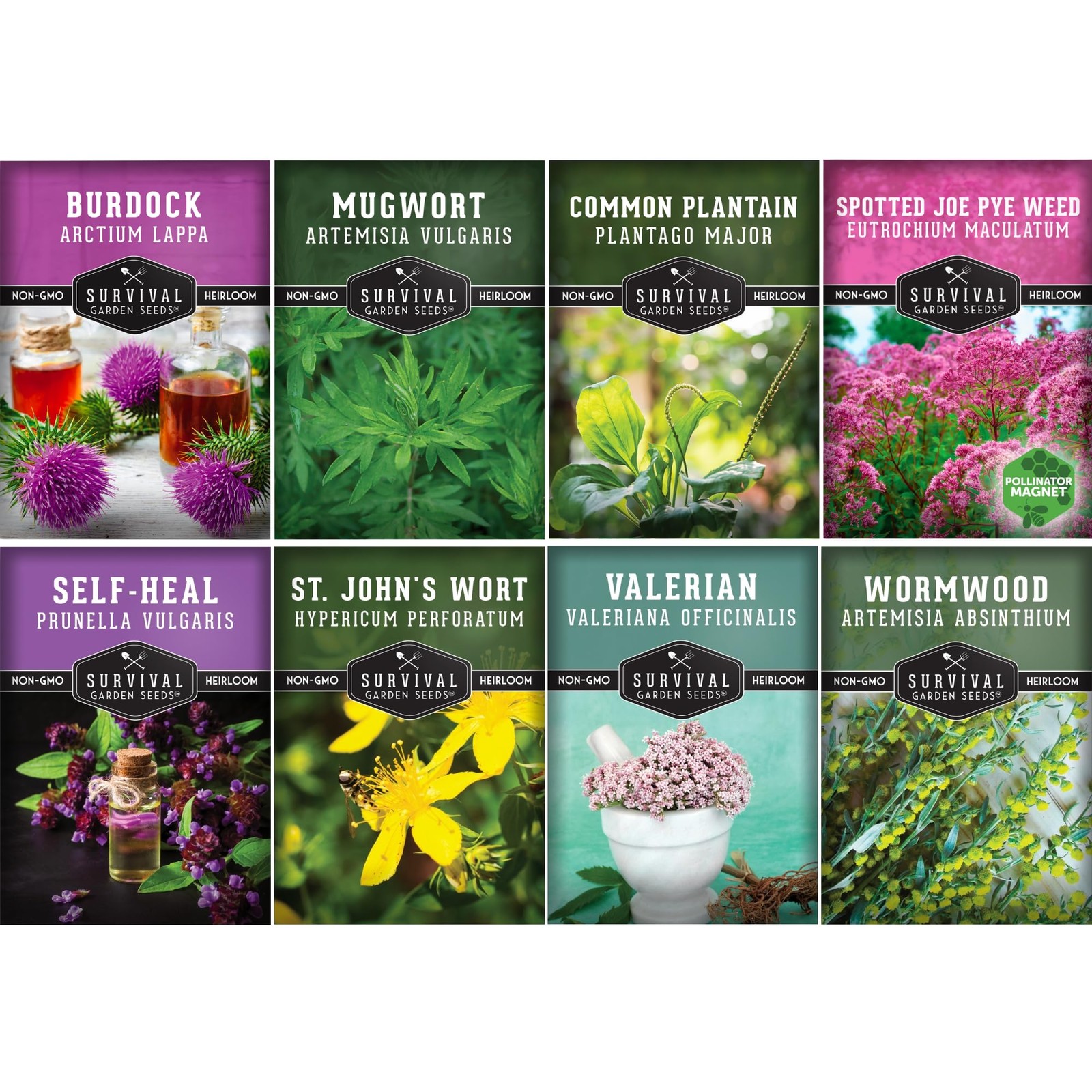 Advanced Medicinal Herb Seeds Collection – Variety Pack for Planting with Pla…