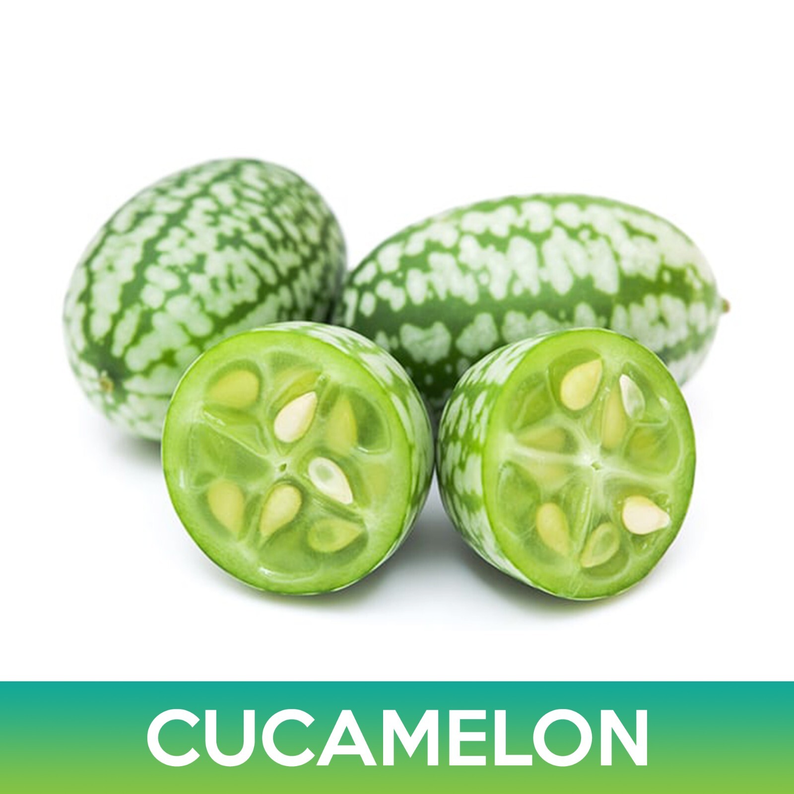 Cucamelon Seeds, Mouse Melon, Mexican Sour Gherkin