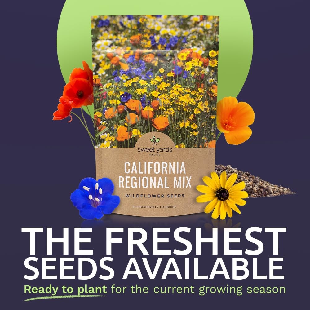 California Wildflower Seed Mix 1/4 lb Bulk 30,000+ NonGMO Seeds