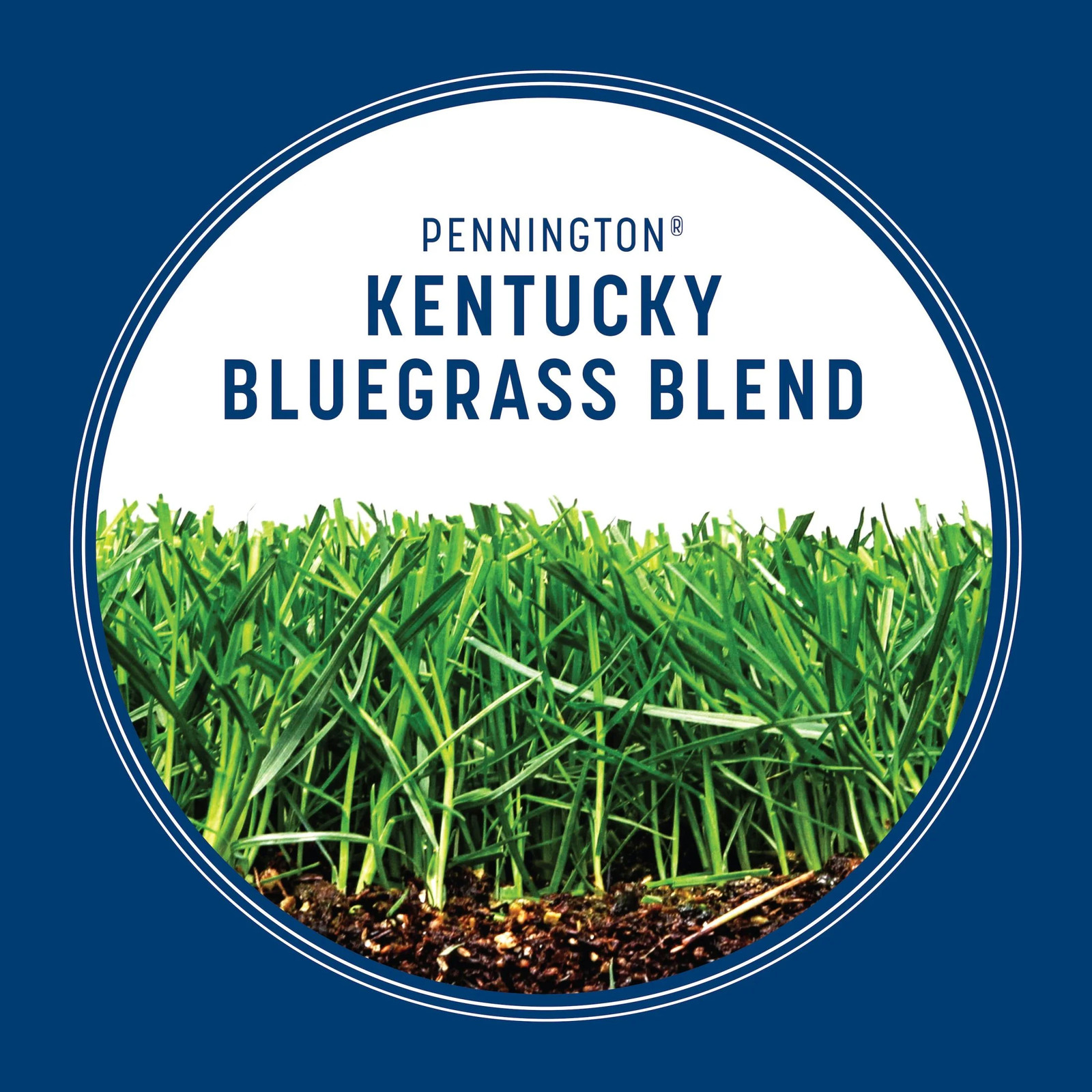 Kentucky Bluegrass Northern Grass Seed Mix for Sun to Partial Shade, 3 Lb