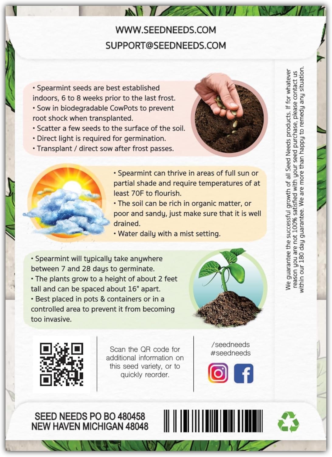 Grow Fresh Non-GMO Spearmint Seeds – Perfect for Culinary and Health Benefits