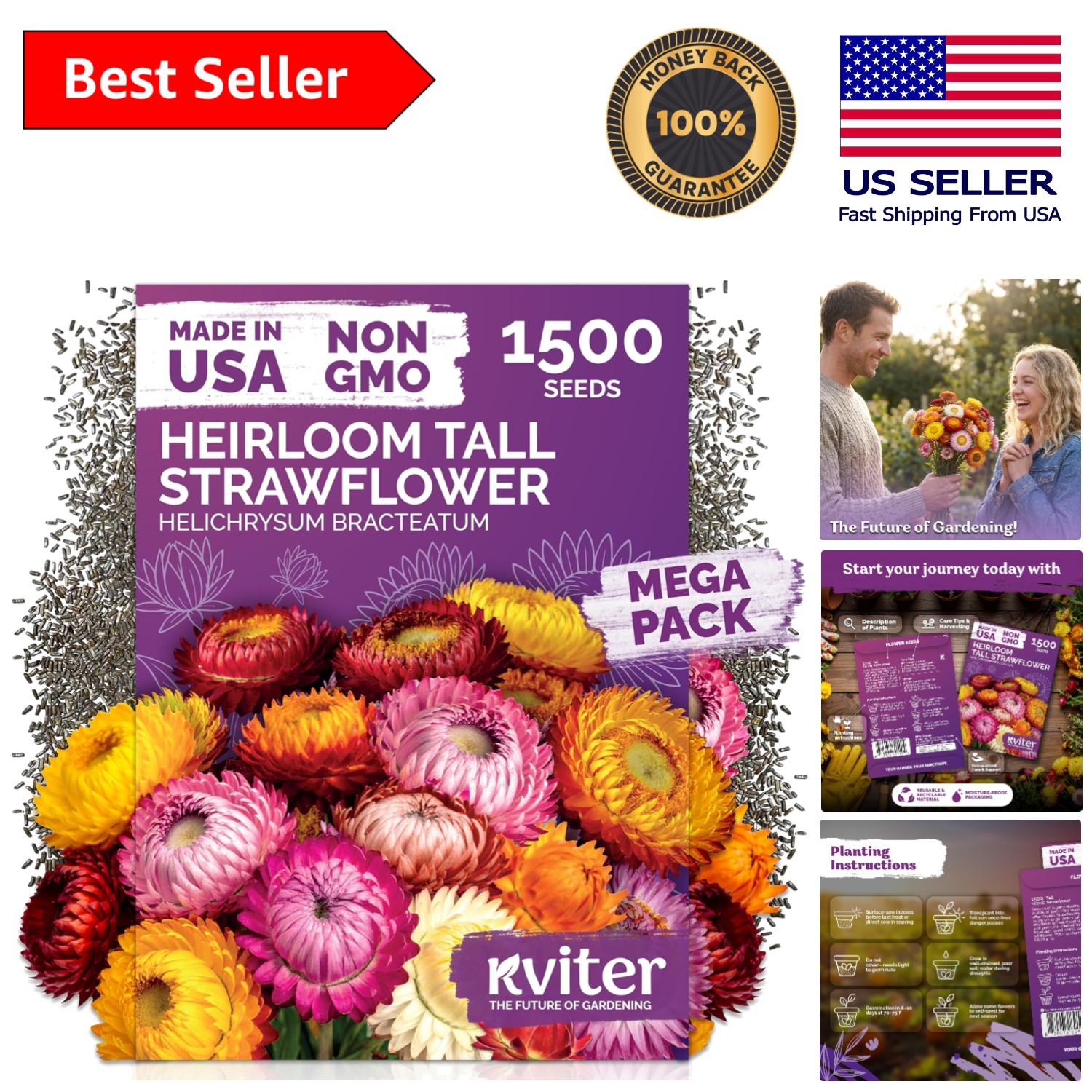 1500 Golden Everlasting Strawflower Seeds for Drought-Resistant Beauty