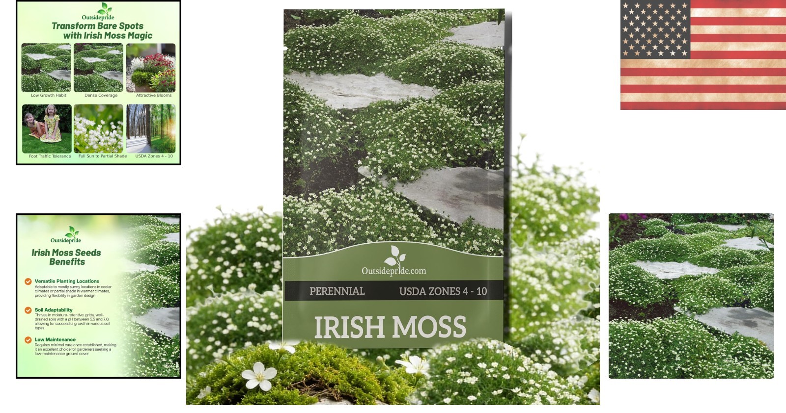 Irish Moss Seeds – 5000 Count of Dense, Soft Ground Cover Ideal for Shade & Sun