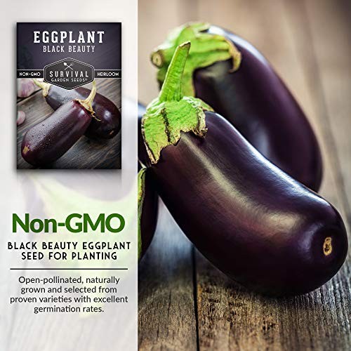 Black Beauty Eggplant Seed for Planting – Packets with Instructions to Grow 2