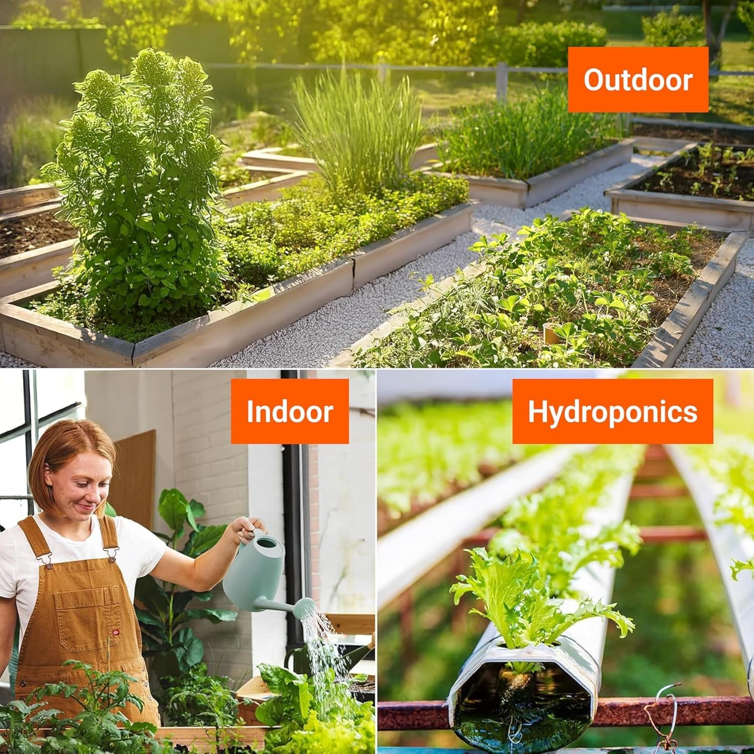 4,000 Non GMO Heirloom Vegetable Seeds for Planting Vegetables and Fruits – 1…