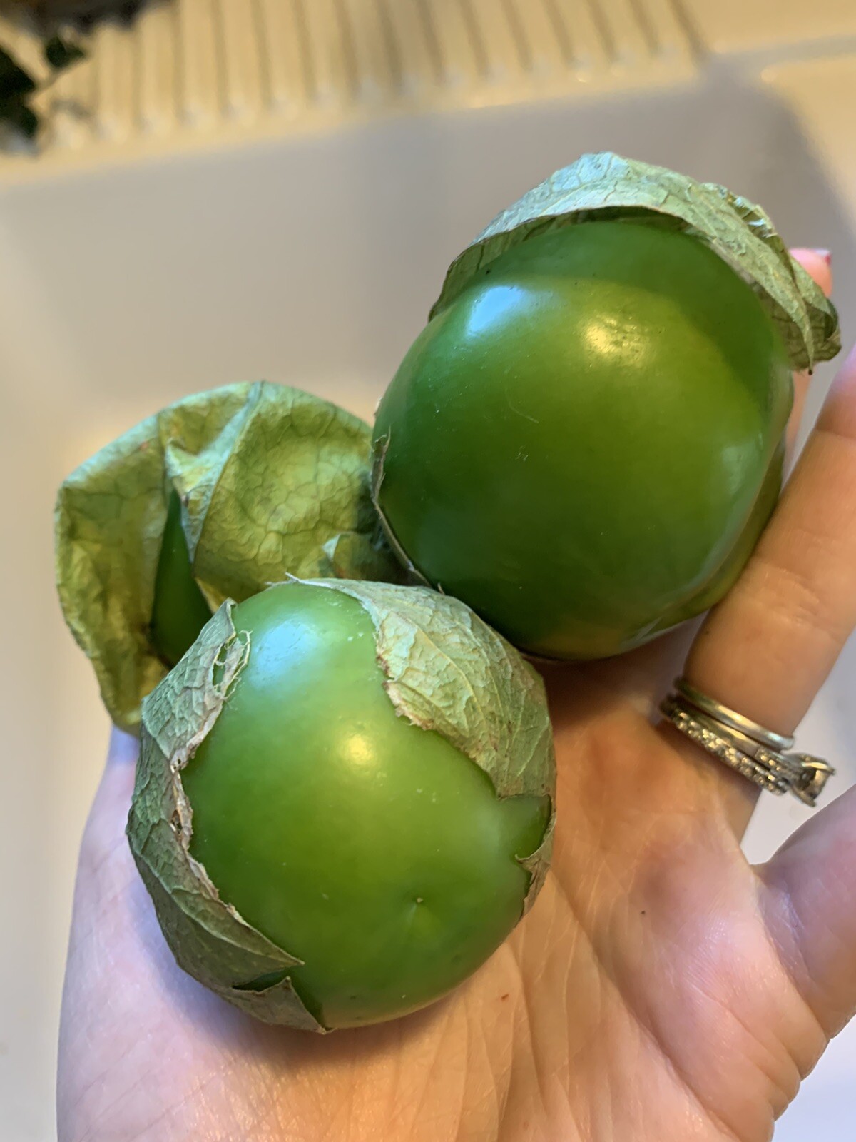 50+ Texas Tomatillo Seeds Verde Salsa Heirloom Vegetable Garden Husks Peppers