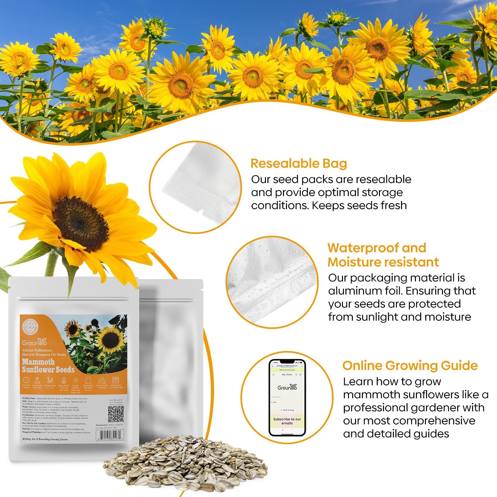 Giant Sunflower Seeds – 300+ Non-GMO Heirloom Seeds, 6-12 FT Tall, High Germinat