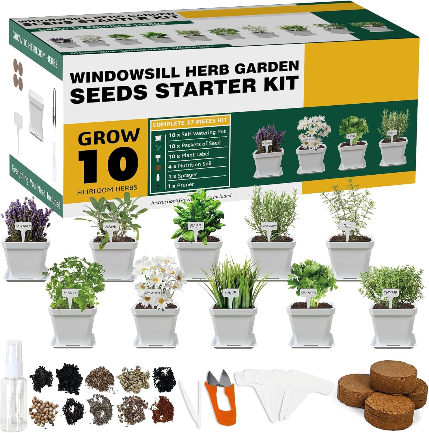 10 Herb Seeds Garden Starter Kit with Pots, Markers, Soil, and Watering Tools