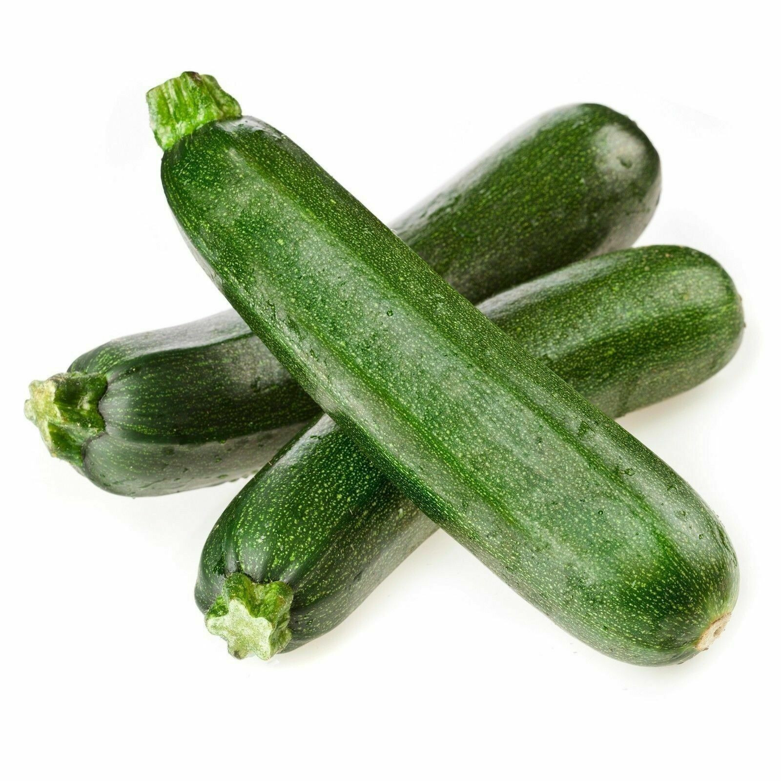 SCARBOROUGH SEEDS BLACK BEAUTY 25 SEEDS SQUASH ZUCCHINI NON-GMO Open-Pollinated
