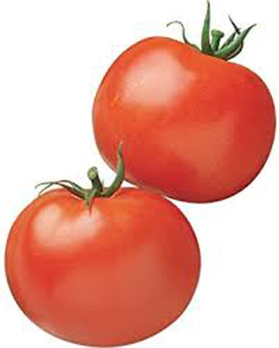 100+Tomato Seeds Rutger’s Heirloom Tomato Fresh Garden Vegetable USA