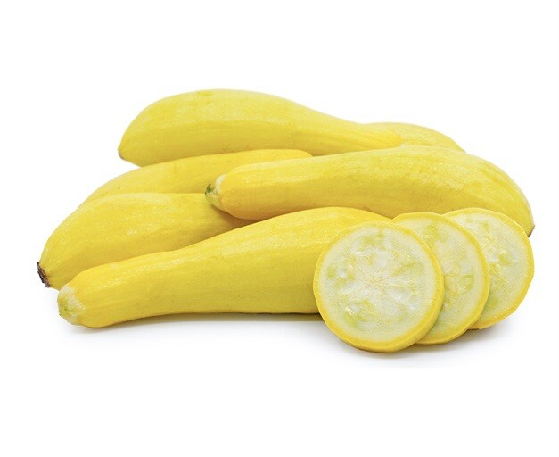 Squash Golden Zucchini Straightneck 20 Seeds NON-GMO USA Seller