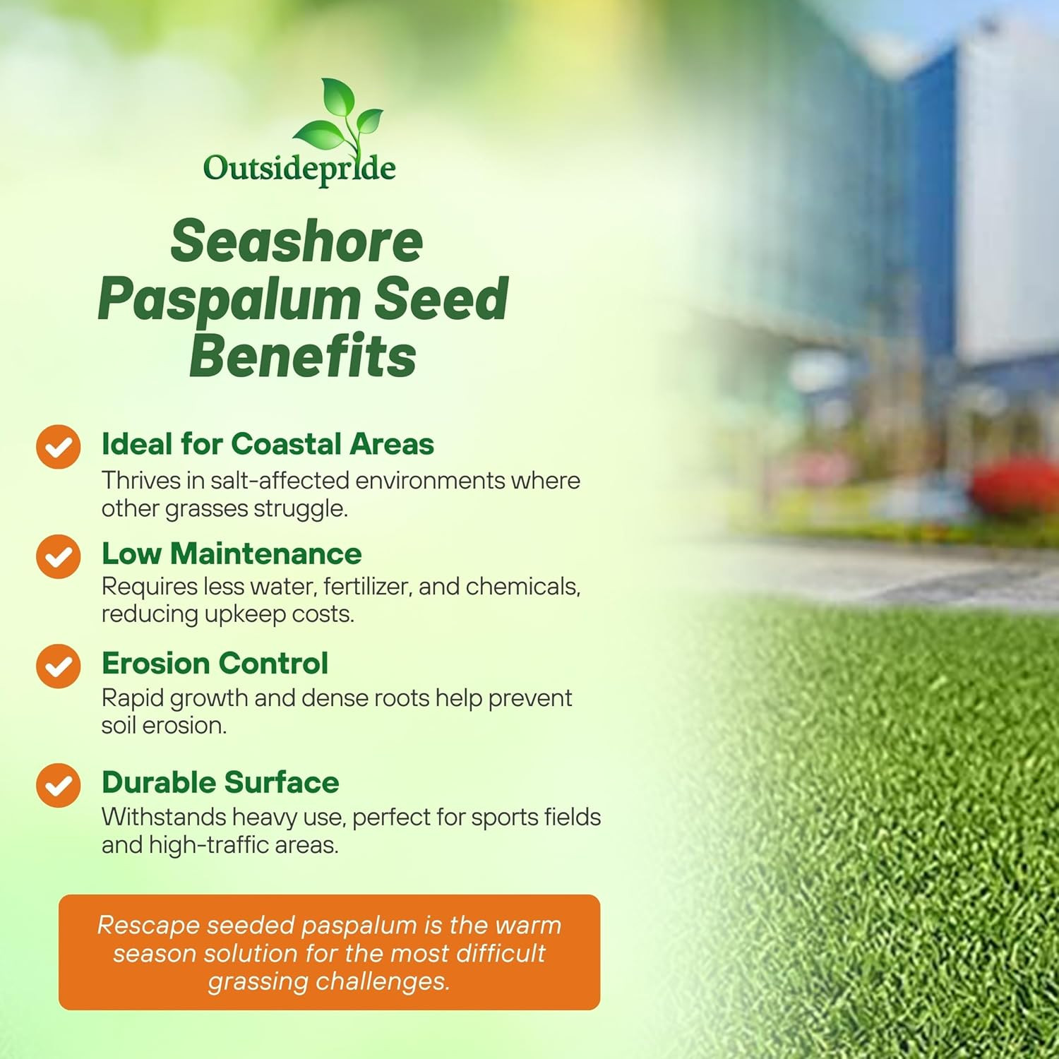 Outsidepride Rescape Seashore Paspalum Turf Grass Seed – 5 Lbs. Warm Season, Sal