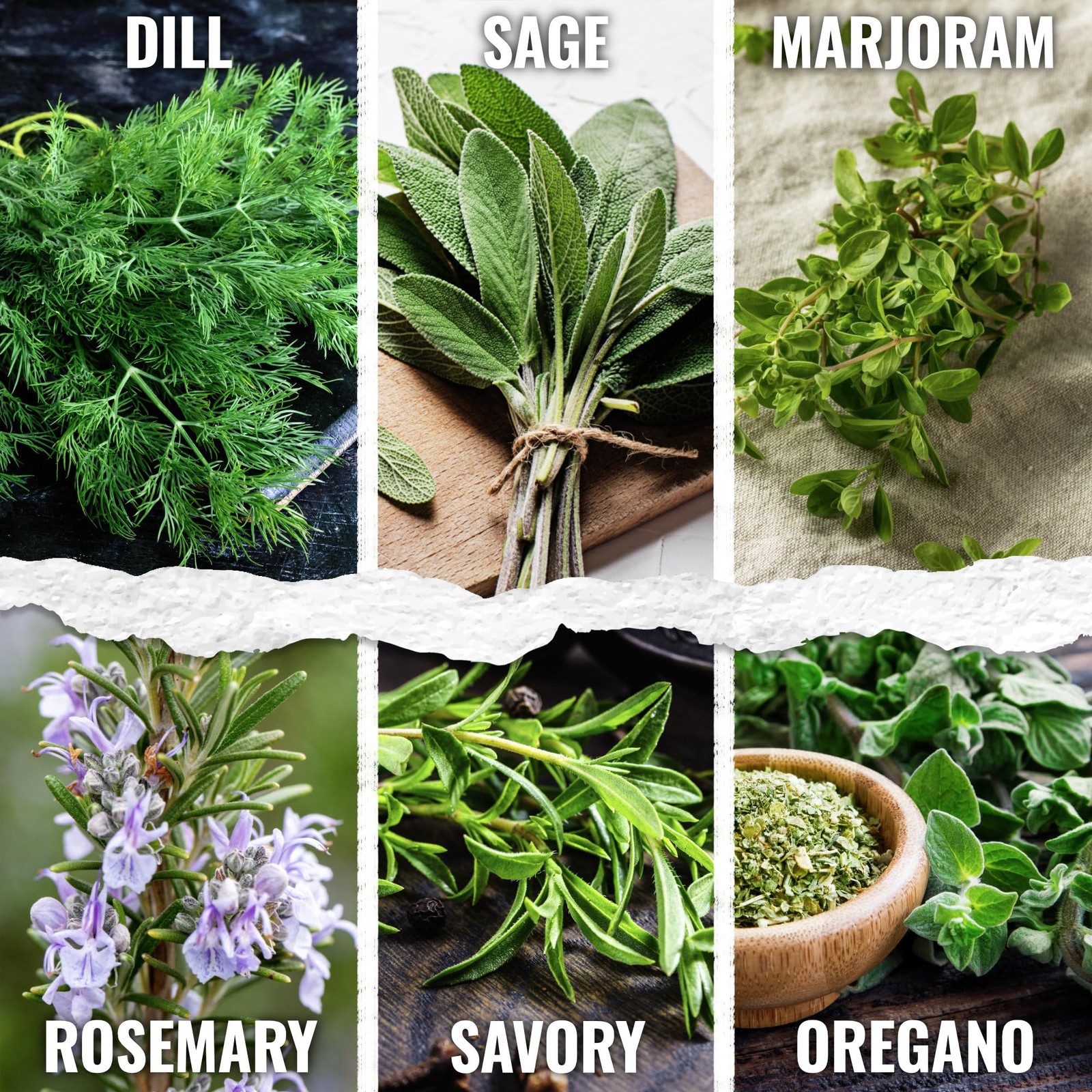Herb Seeds Variety Pack Culinary Herb Collection (12 Individual Packets for P…