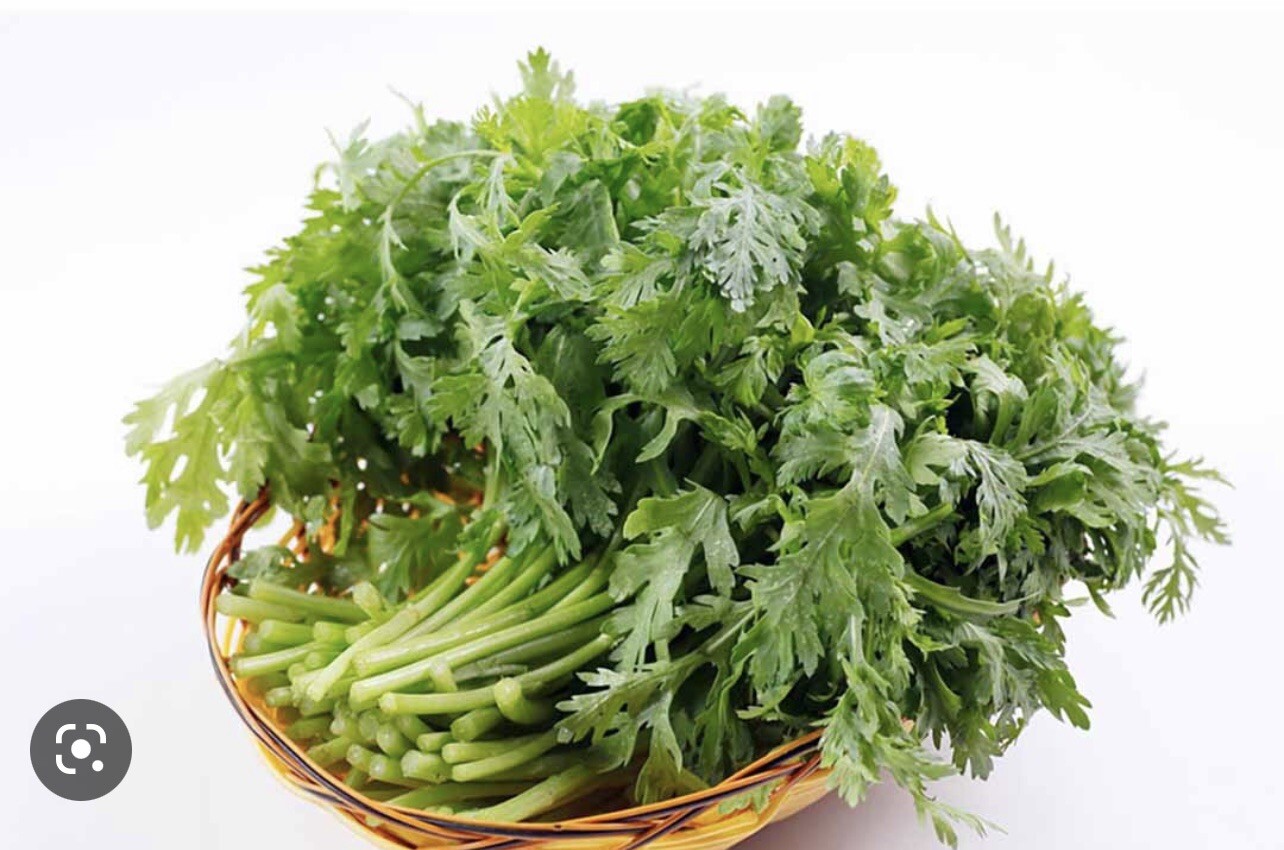 25,000 Seeds Rau Tần Ô – Cải Cúc + Free Gift Vietnamese Vegetable Seed.