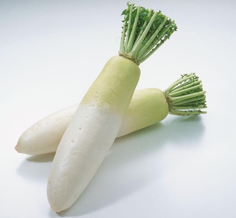 Daikon Radish / Chinese White radish 200+ seeds | Heirloom | Non-GMO |Organic.