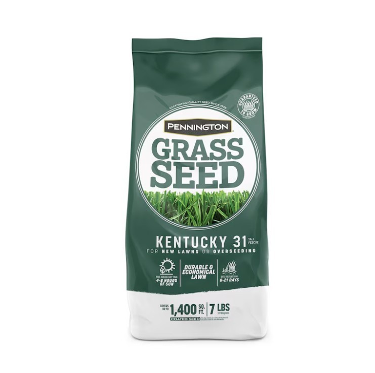 SALE-Pennington Kentucky 31 Tall Fescue Grass Seed 7 lb Covers Up to 1400 Sq Ft