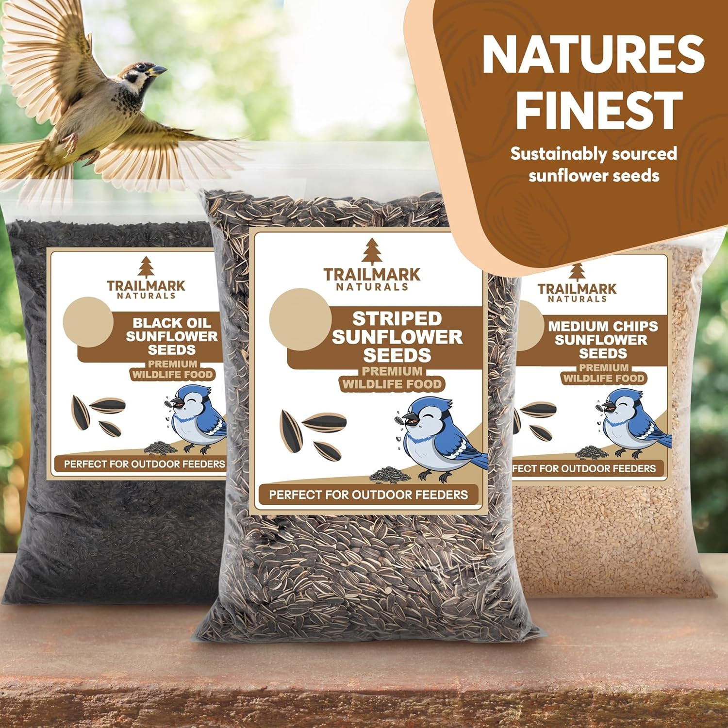 Striped Sunflower Seeds, Shelled Seeds for Birds – Premium Wildlife & Bird Food