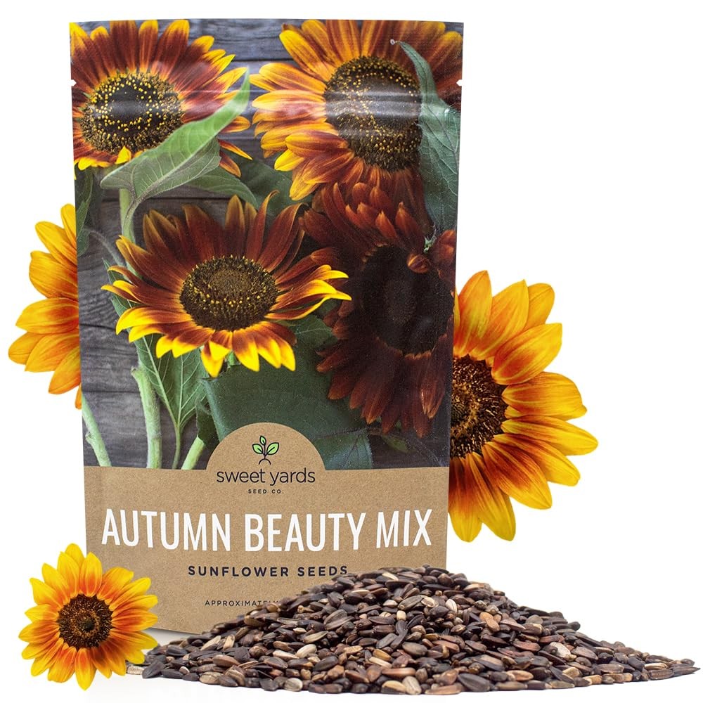 Autumn Beauty 1/4 Pound Bag, Shades of Gold, Bronze, Yellow, and Purple