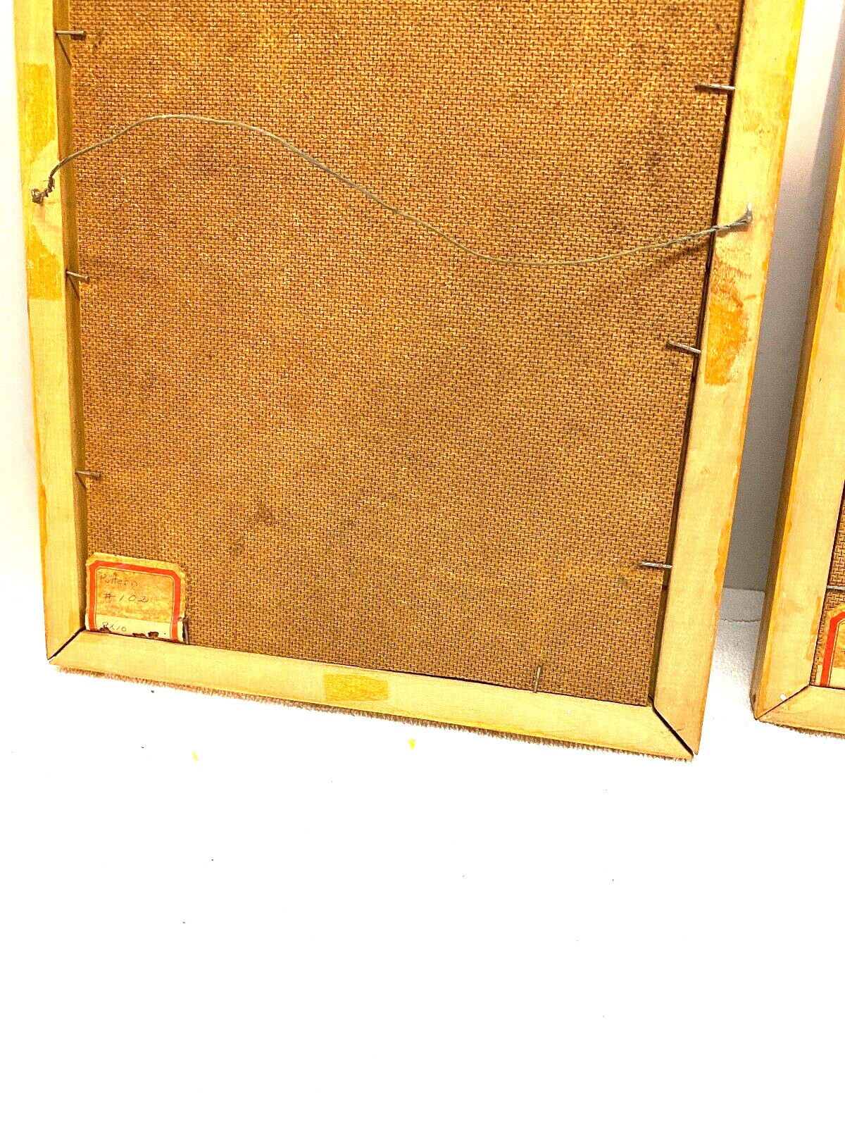 Picture of Seeds in 9 X 10 Frame Multi