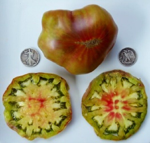 Ananas Noir – Try Something Different – 40 Seeds Buy any 3 or more var 20% off
