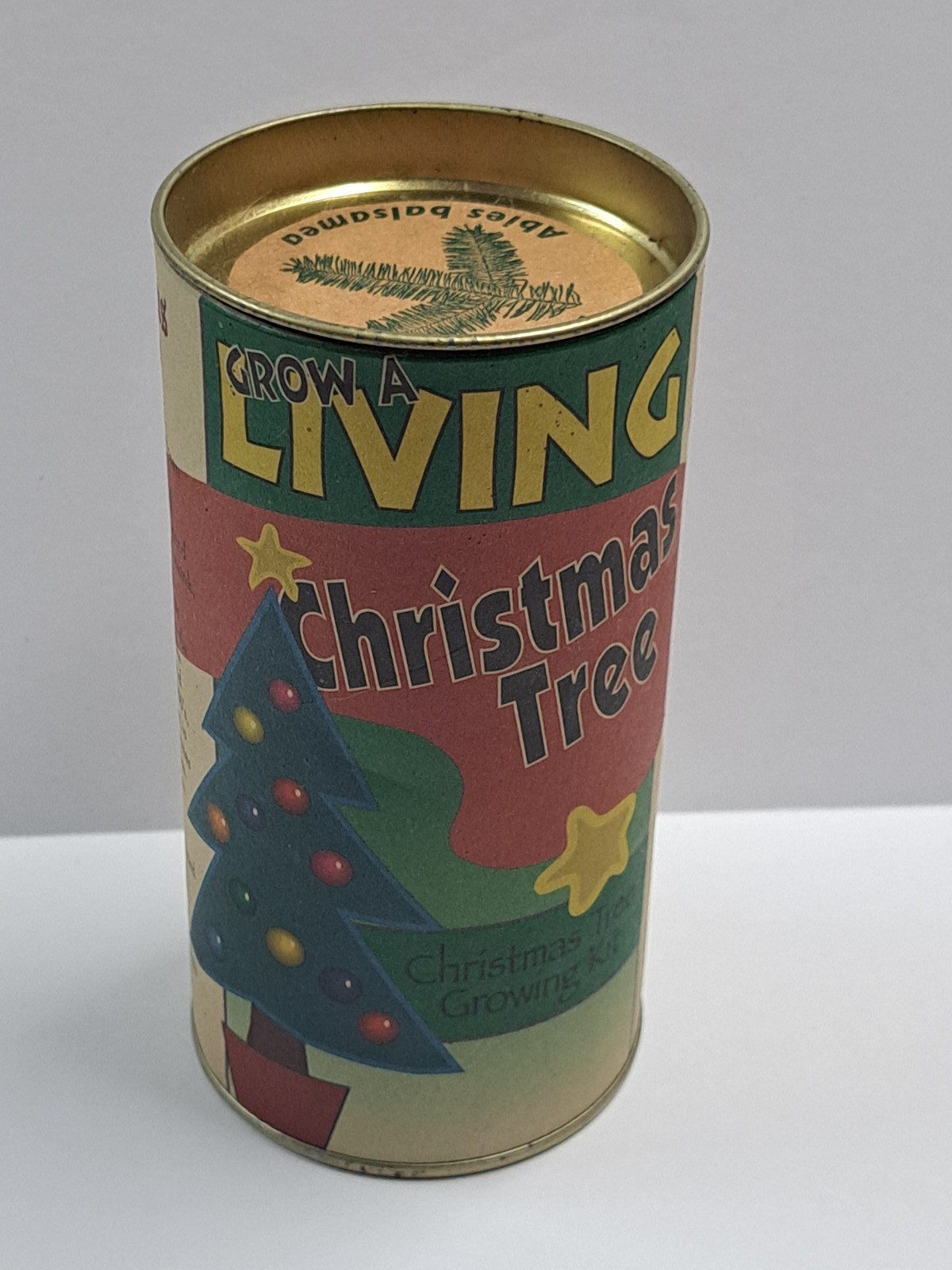Jonsteen Grow A Living Christmas Tree Balsam Fir Seed Growing Kit Abies Balsamea