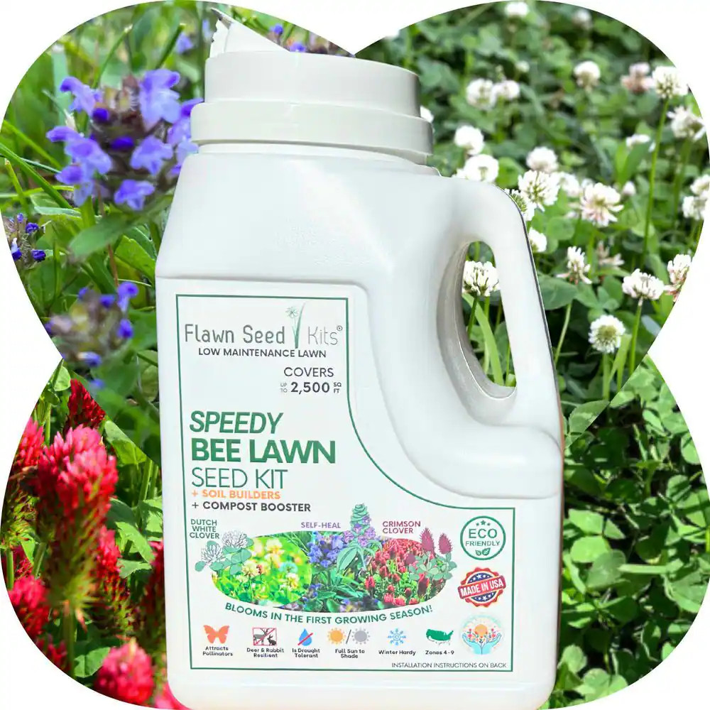 Speedy Bee Lawn Flower Seed, Easy Spread Shaker, Low Mnt, Pet, Kid, Eco-Friendly
