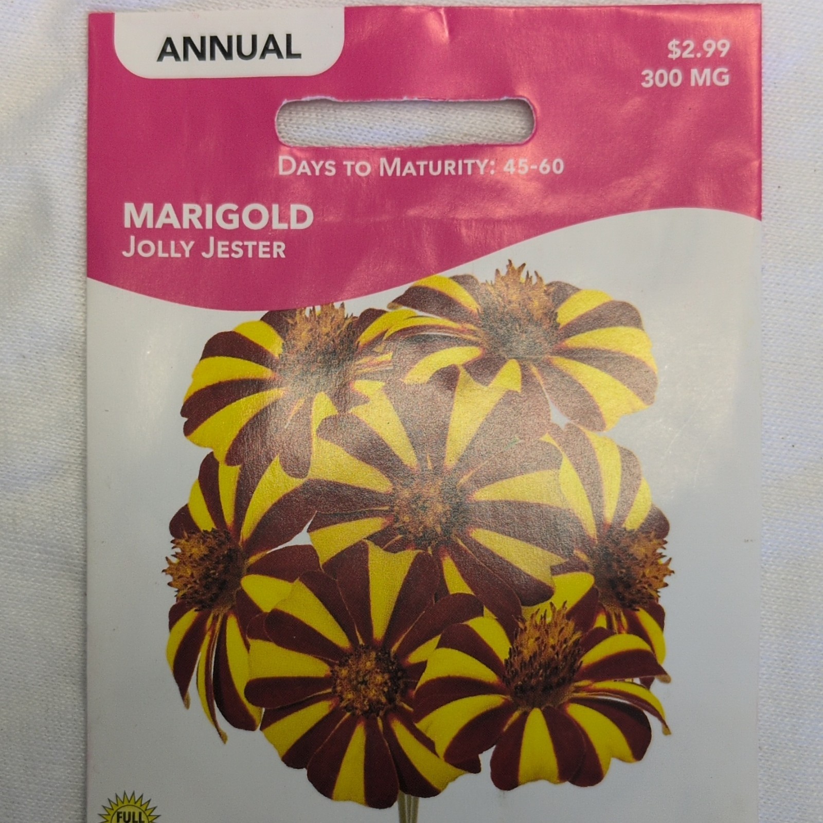 Livingston Marigold Jolly Jester Annual Yellow Red Flower Seeds Full Sun Y1240
