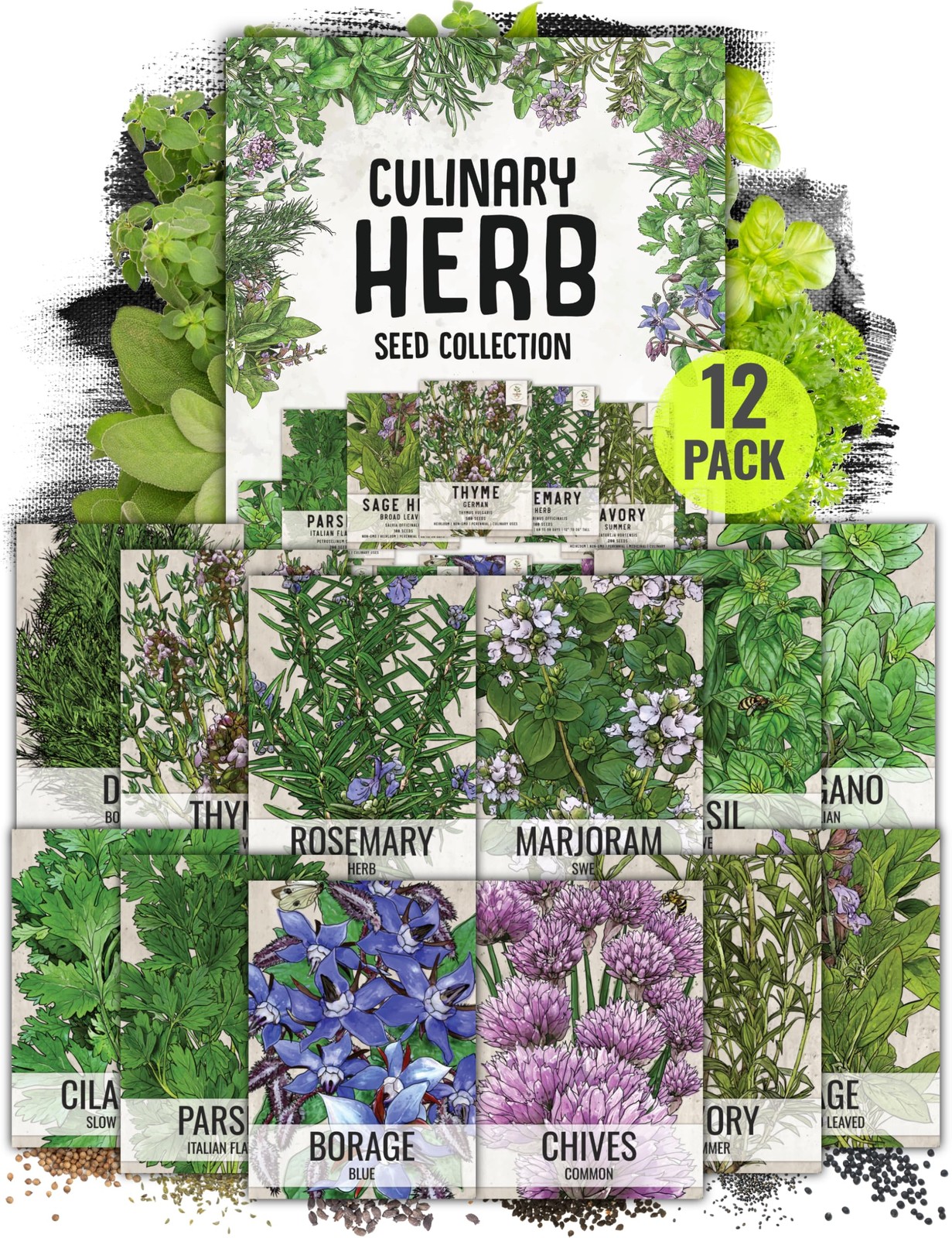 Seed Needs Herb Seeds Variety Pack Culinary Herb Collection 12 Individual Pac…