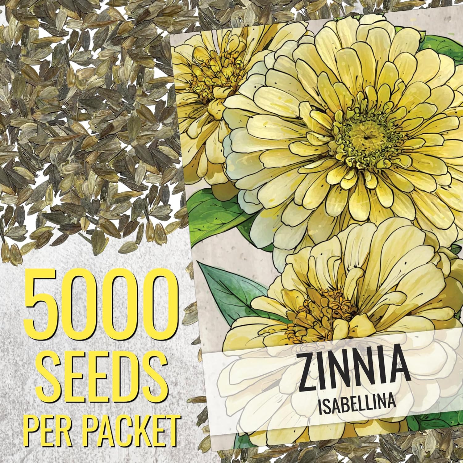 Zinnia Seeds Isabellina Yellow Variety Fast Blooming | ,000+ Heirloom & Open Pol