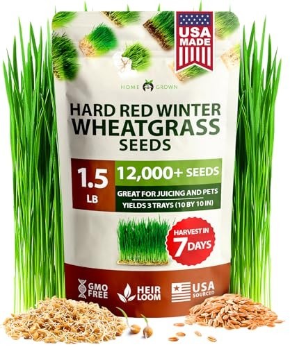 12,000+ Wheatgrass Seeds Bulk Pack – Heirloom Hard Red Winter for Juicing & Micr