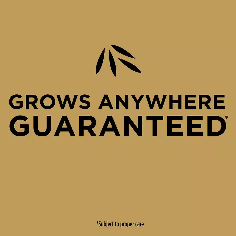 EZ Seed Patch and Repair Tall Fescue Lawns, 3.75 Lbs., with Mulch, Grass Seed an